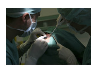 Dentální implantáty